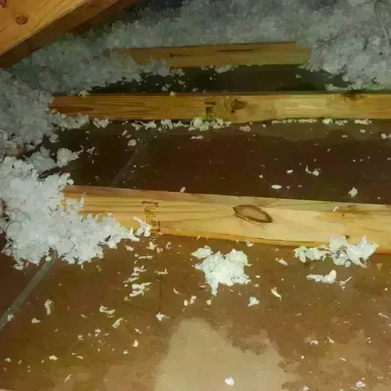 Attic Water Damage in Fort Loramie, OH